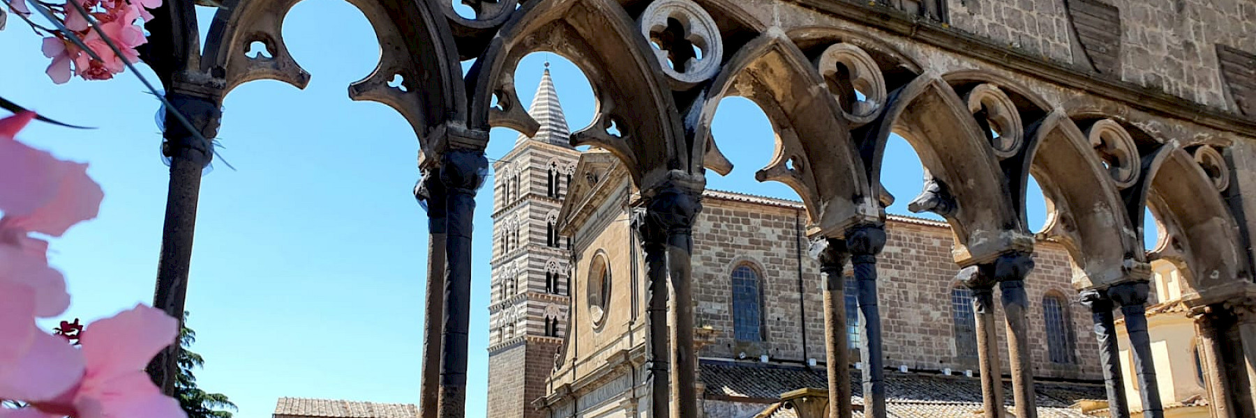 Ordine Professionali degli Infermieri di Viterbo